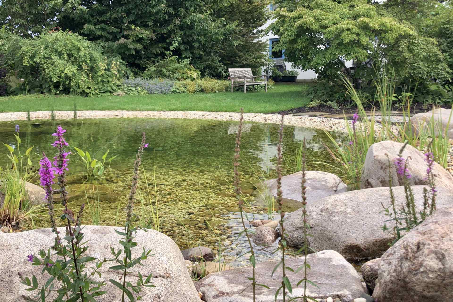 Blick vom Teich in den Garten
