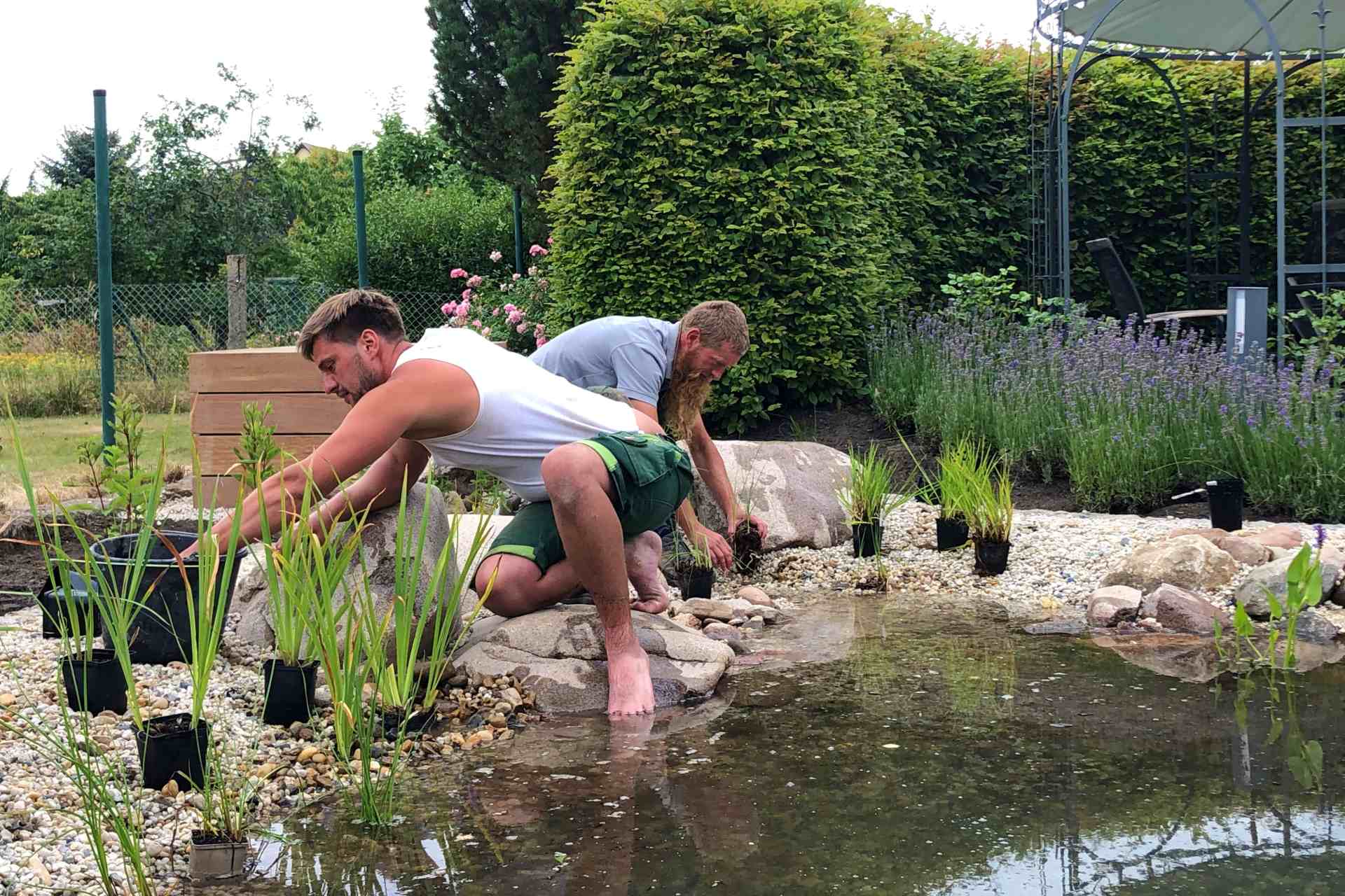 Gartenpflege
